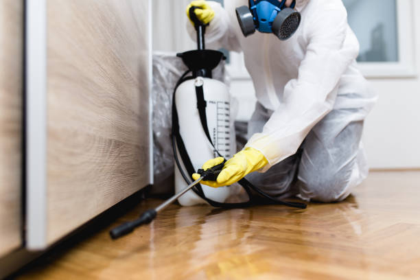 Best Termite Control Services  in Cashion, OK