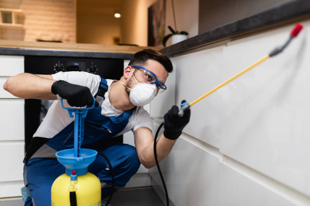 Best Best Pest Control Companies  in Cashion, OK