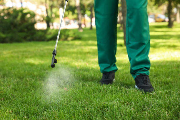Best Pest Inspection Near Me  in Cashion, OK