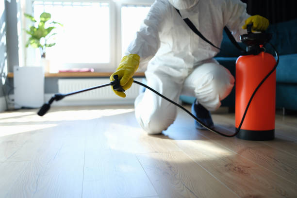 Best Exterminator Services  in Cashion, OK
