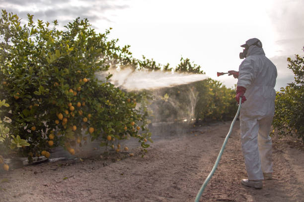 Best Commercial Pest Control Services  in Cashion, OK
