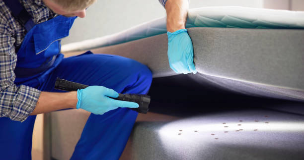 Best Cockroach Control Services  in Cashion, OK