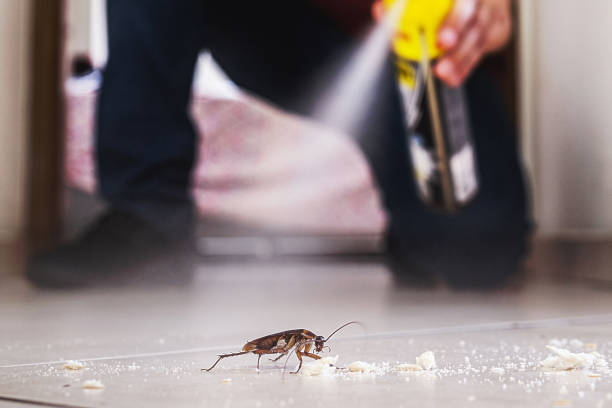 Cashion, OK Pest Control Company