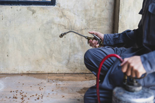 Best Residential Pest Control  in Cashion, OK