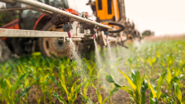 Best Local Pest Control Services  in Cashion, OK
